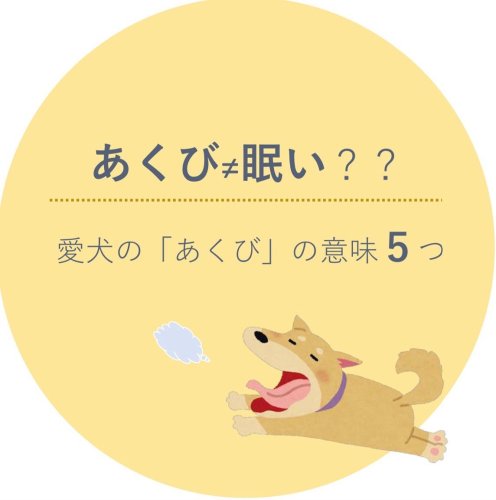 Embed Feed Embed Feed