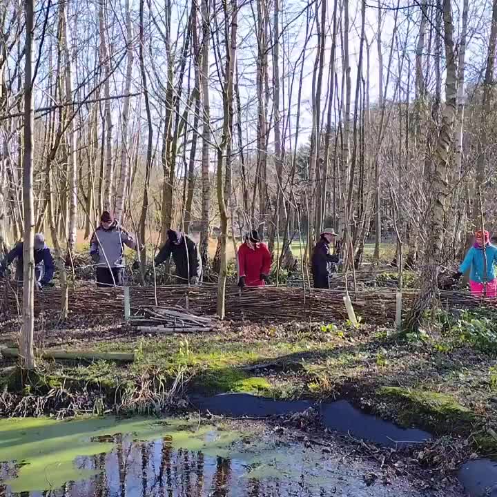 Video post from woodmeadowtrust.