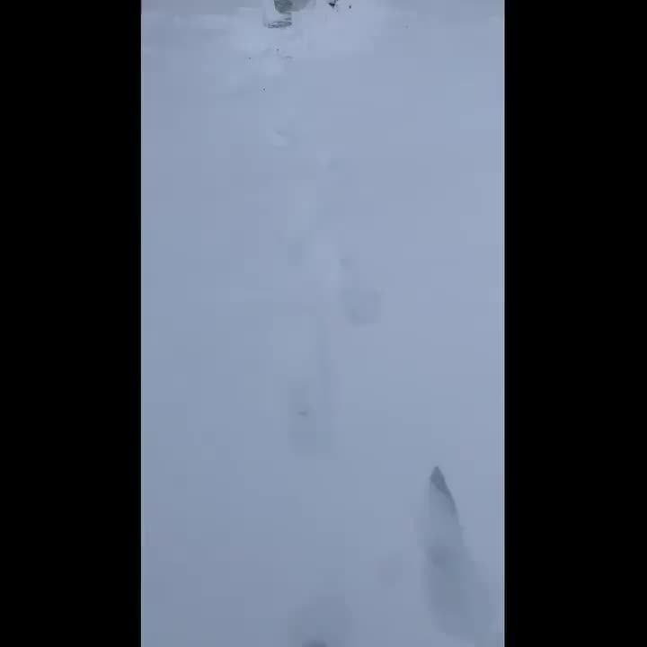 Video post from lindeskolan.