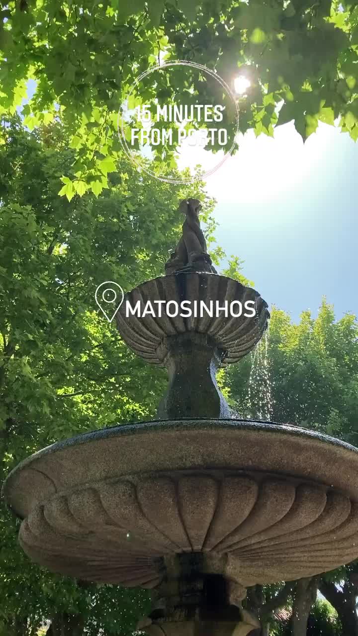 Video post from portorunningtours.