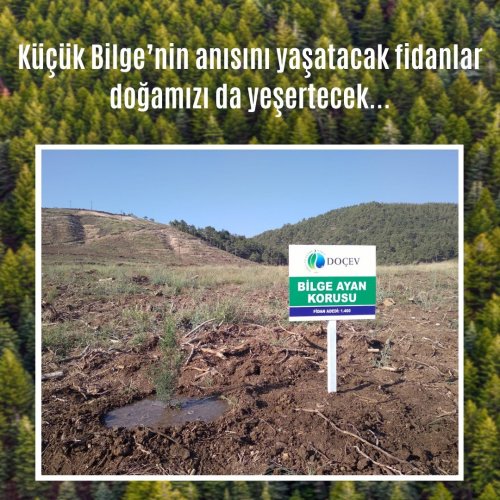 Photo post from dogavecevrevakfi.