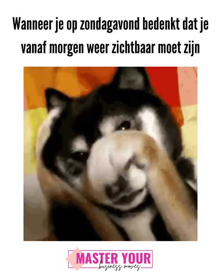Video post from masteryourbusinessmoves.nl.