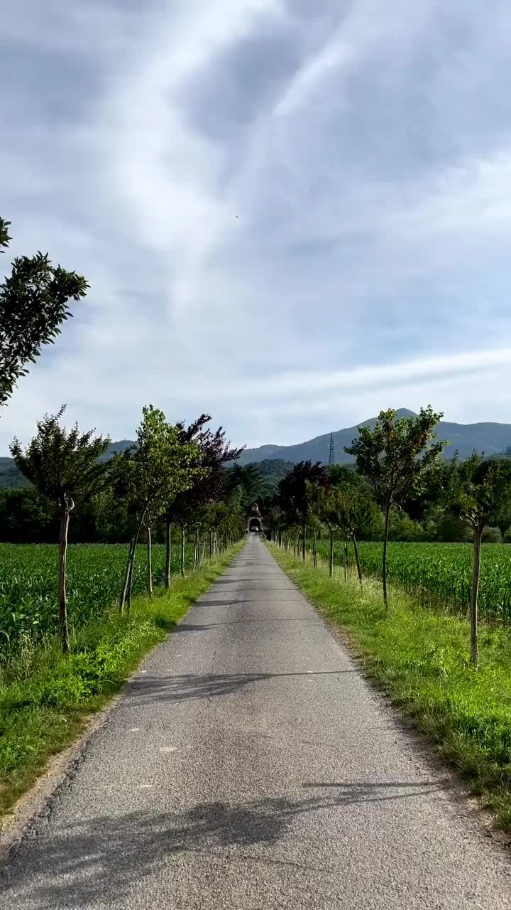 Video post from donatella.spizzico.
