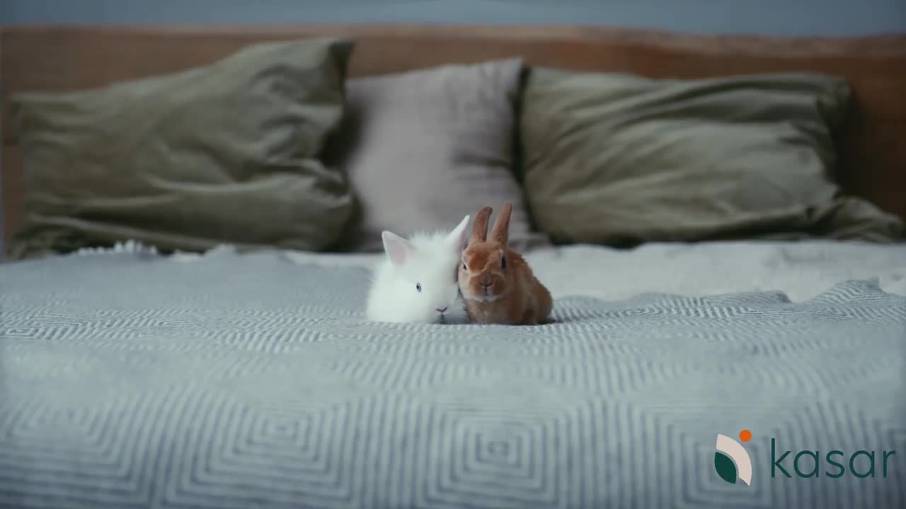 Video post from kasarstays.