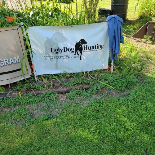 Carousel post from reddogguideservice.