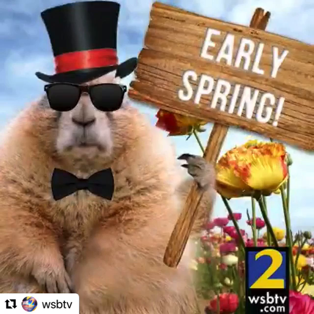 Video post from dogwoodfestival.