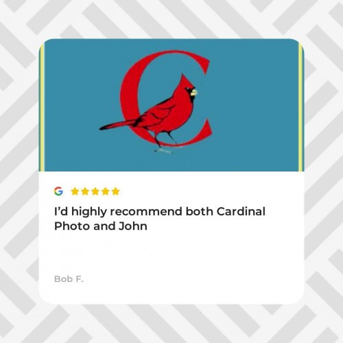 Photo post from cardinalcamera1937.