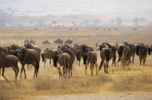 Carousel post from taucktravel.