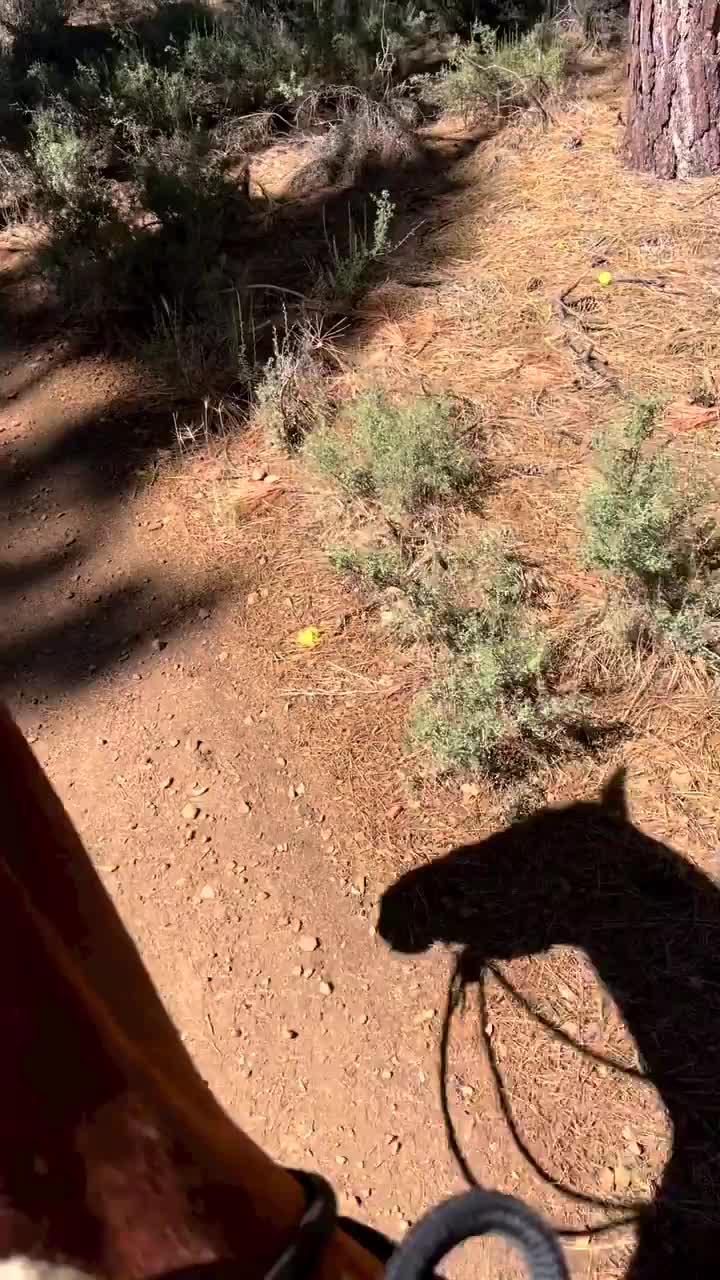 Video post from __amber_lydic__.