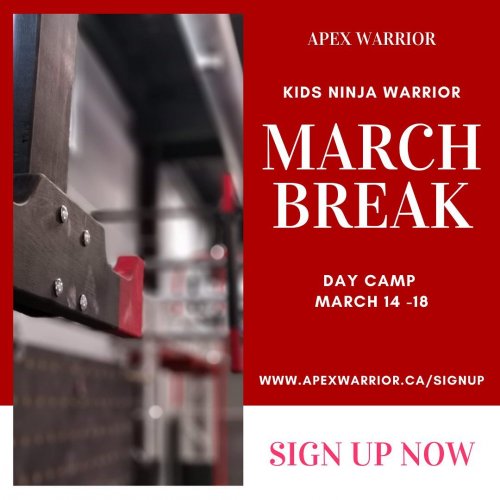 Photo post from apexwarriorfitness.