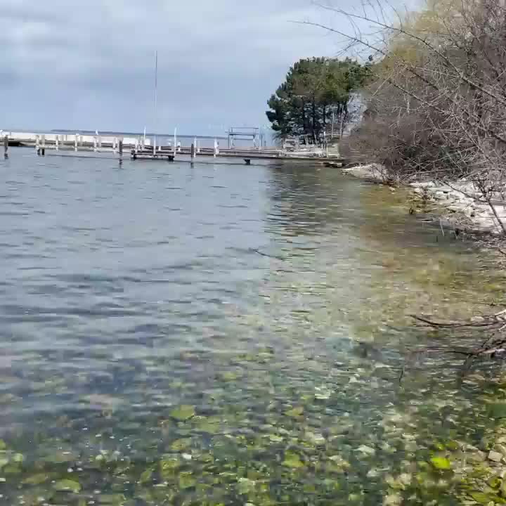 Video post.