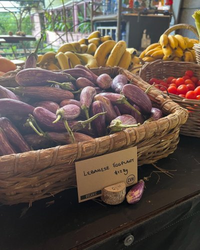 Photo post from currumbinvalleyharvest.