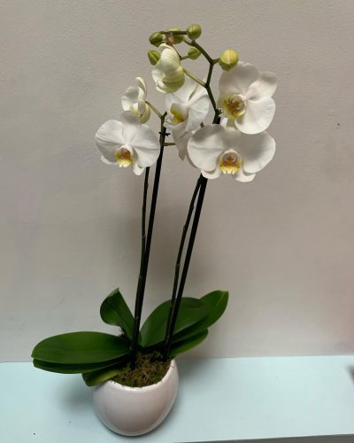 Carousel post from la_gifteria.