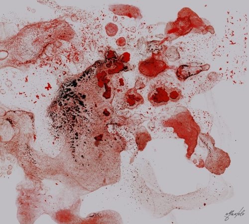 Photo post from ira.martelo.