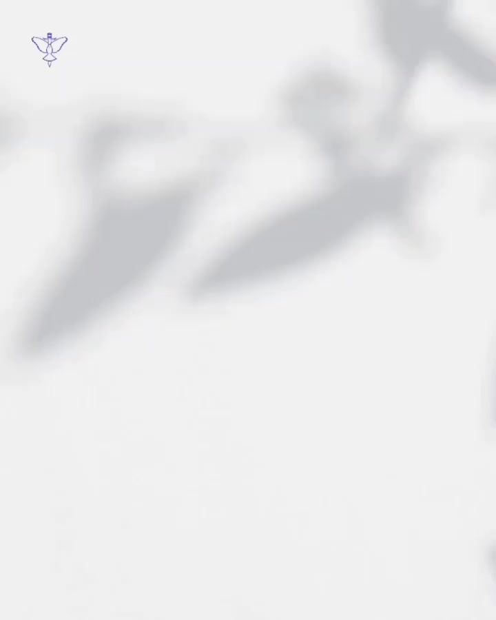 Video post from drsivamm.