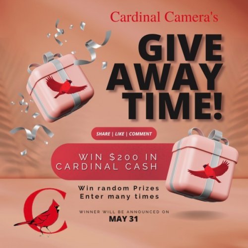 Photo post from cardinalcamera1937.