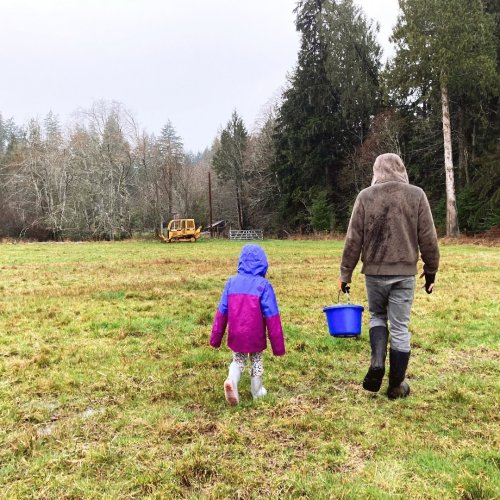 Photo post from hungryhollowfarm.