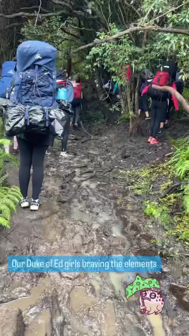 Video post from plcsydneyofficial.