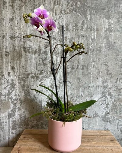 Photo post from giffordsweddings.