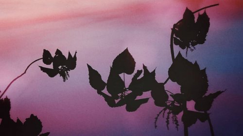 Photo post from jakbobby.