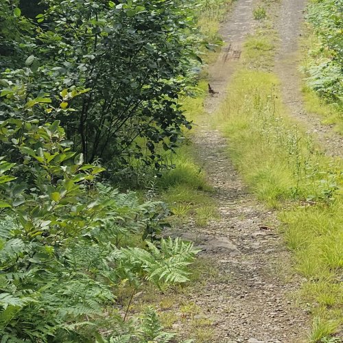 Carousel post from reddogguideservice.