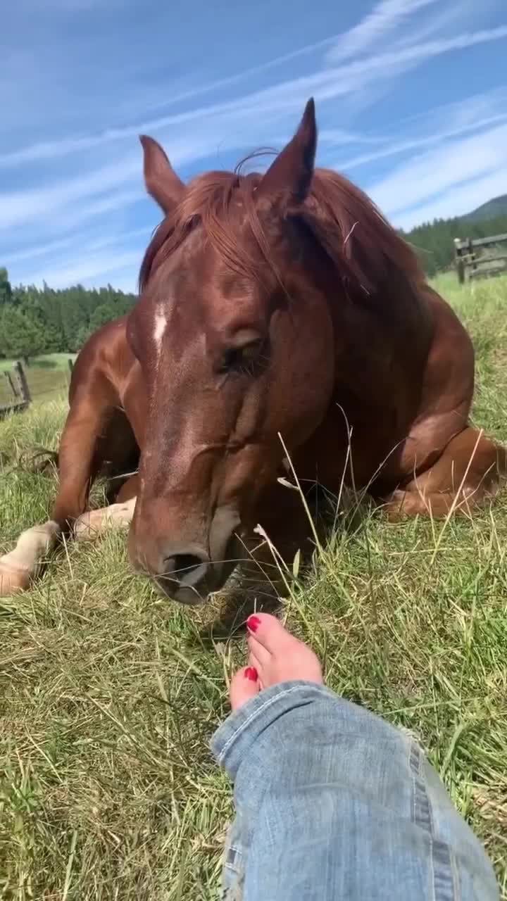 Video post from __amber_lydic__.