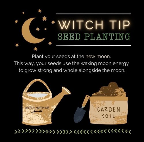 Photo post from wildwitchesmagic.