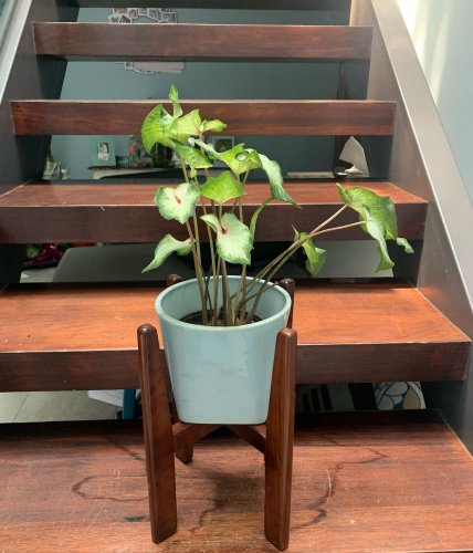 Photo post from la_gifteria.