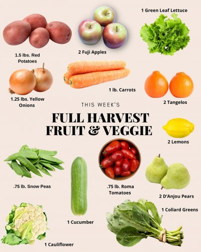 Photo post from farmbox_arizona.