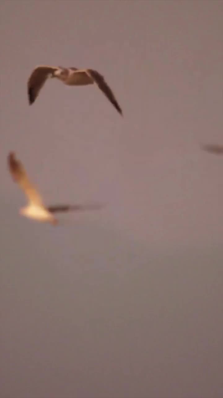 Video post from wineasyouare.