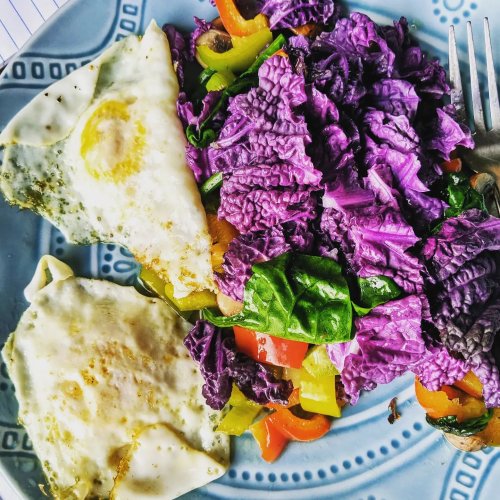 Photo post from hungryhollowfarm.