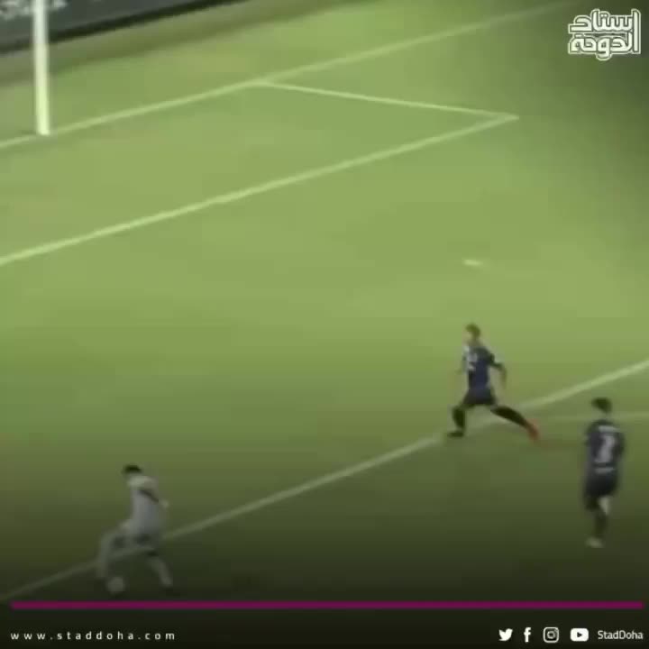 Video post from staddoha.