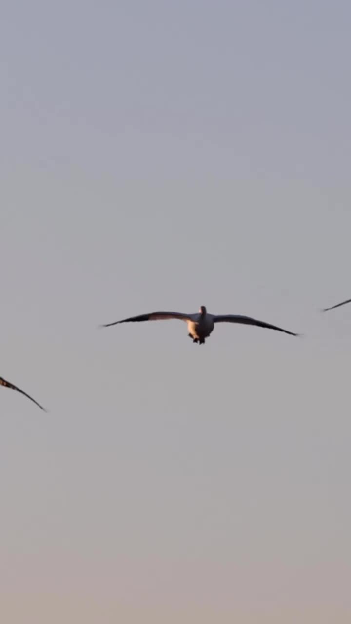 Video post from northernskiesoutfitters.