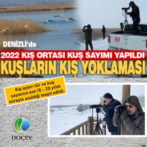 Photo post from dogavecevrevakfi.