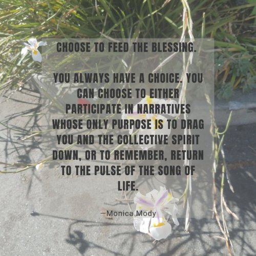 Photo post from monica.mody.