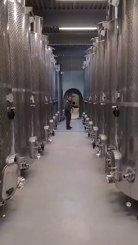 Video post from totneswine.