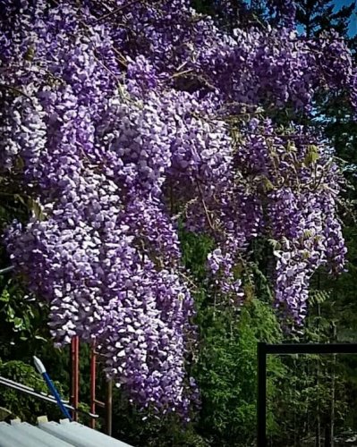 Photo post from woodstonemanor.