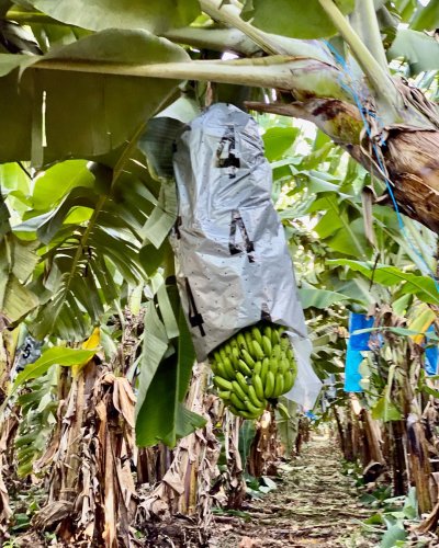 Photo post from howefarming.