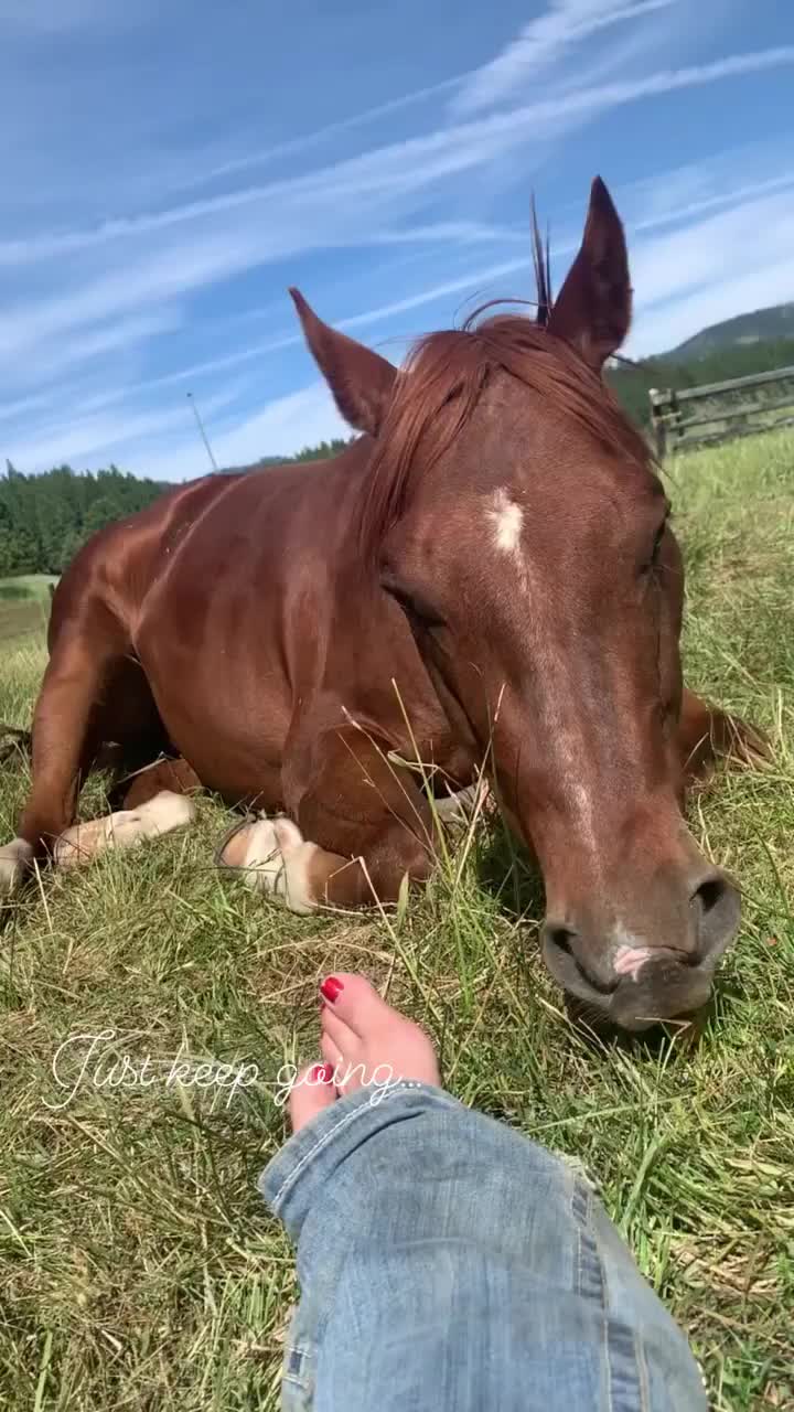 Video post from __amber_lydic__.