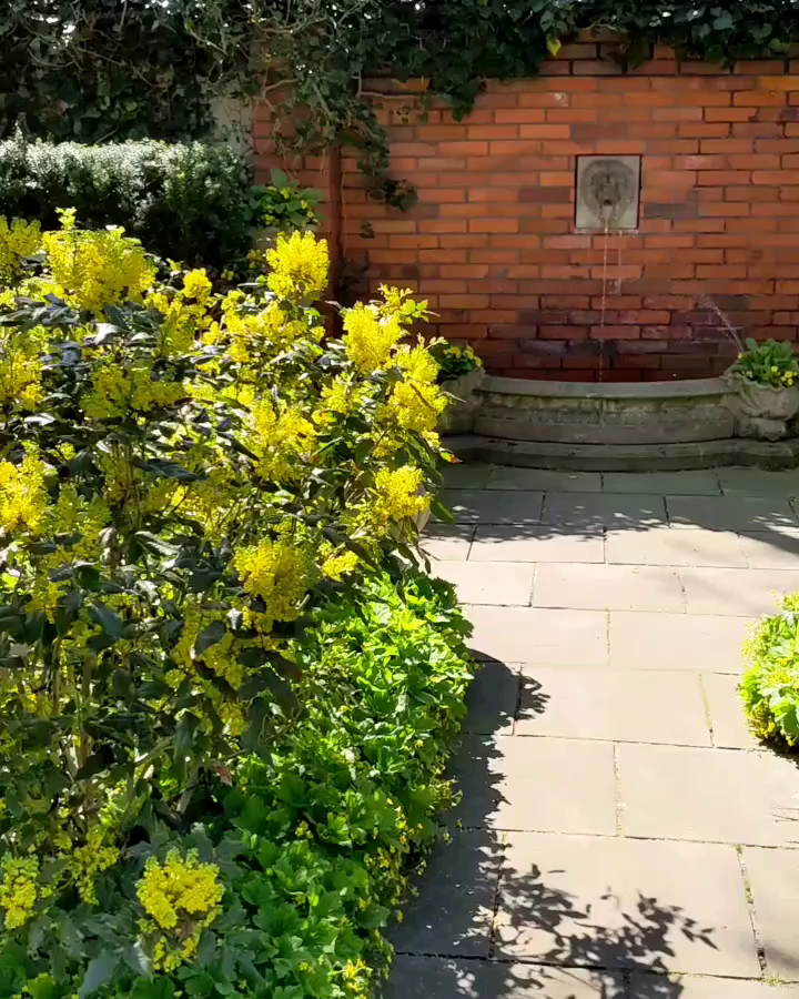 Video post from chronos_collection.