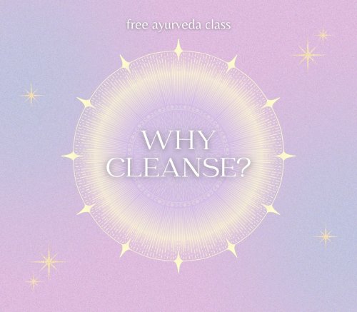 Photo post from emilylglaser.