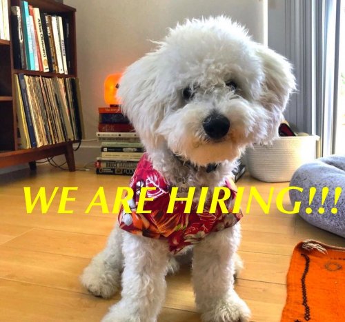 Photo post from familyanimalhospitalcm.