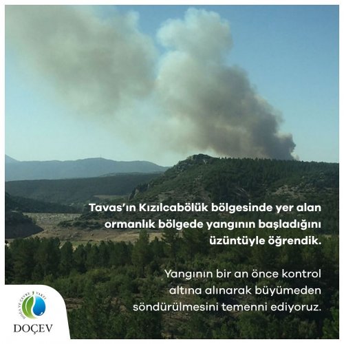 Photo post from dogavecevrevakfi.