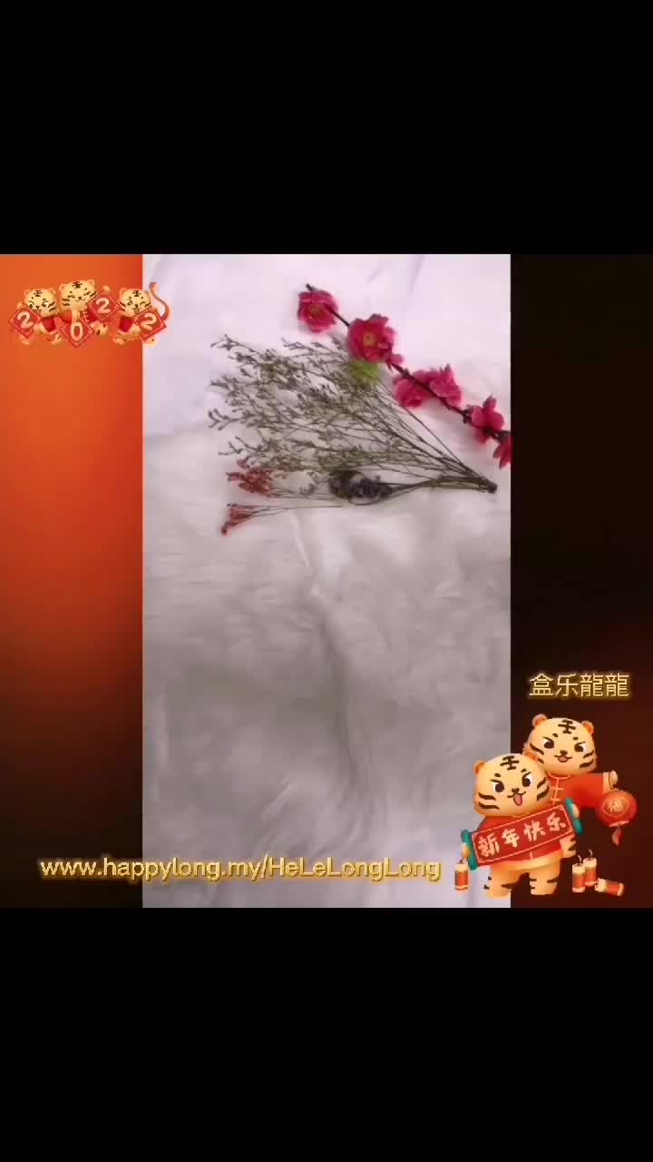 Video post from helelonglong.