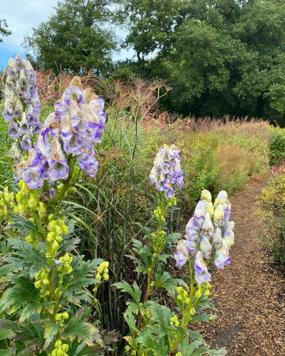 Photo post from sussexprairies.