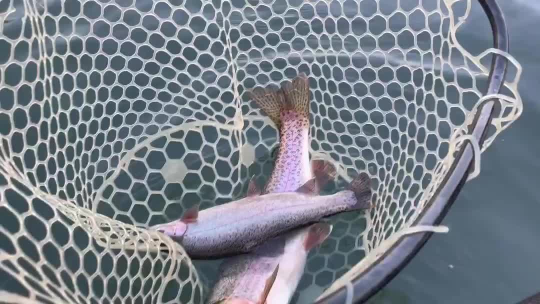 Video post from confluenceoutfitters.