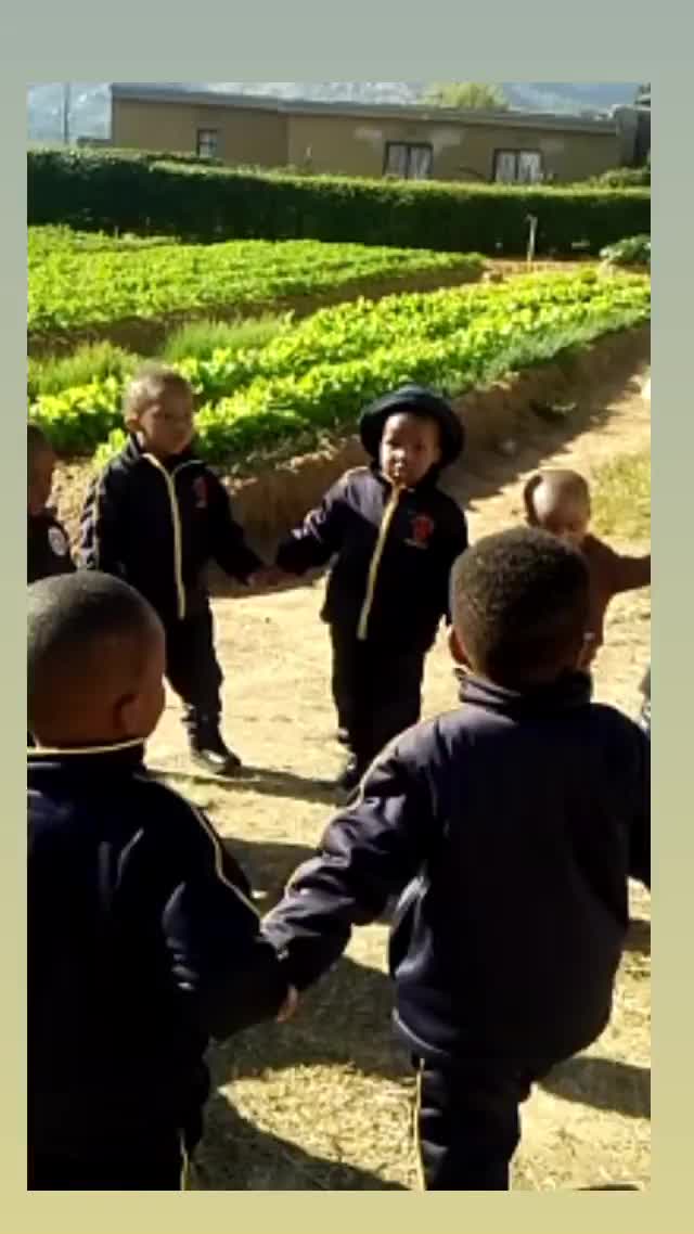 Video post from asecsldi.
