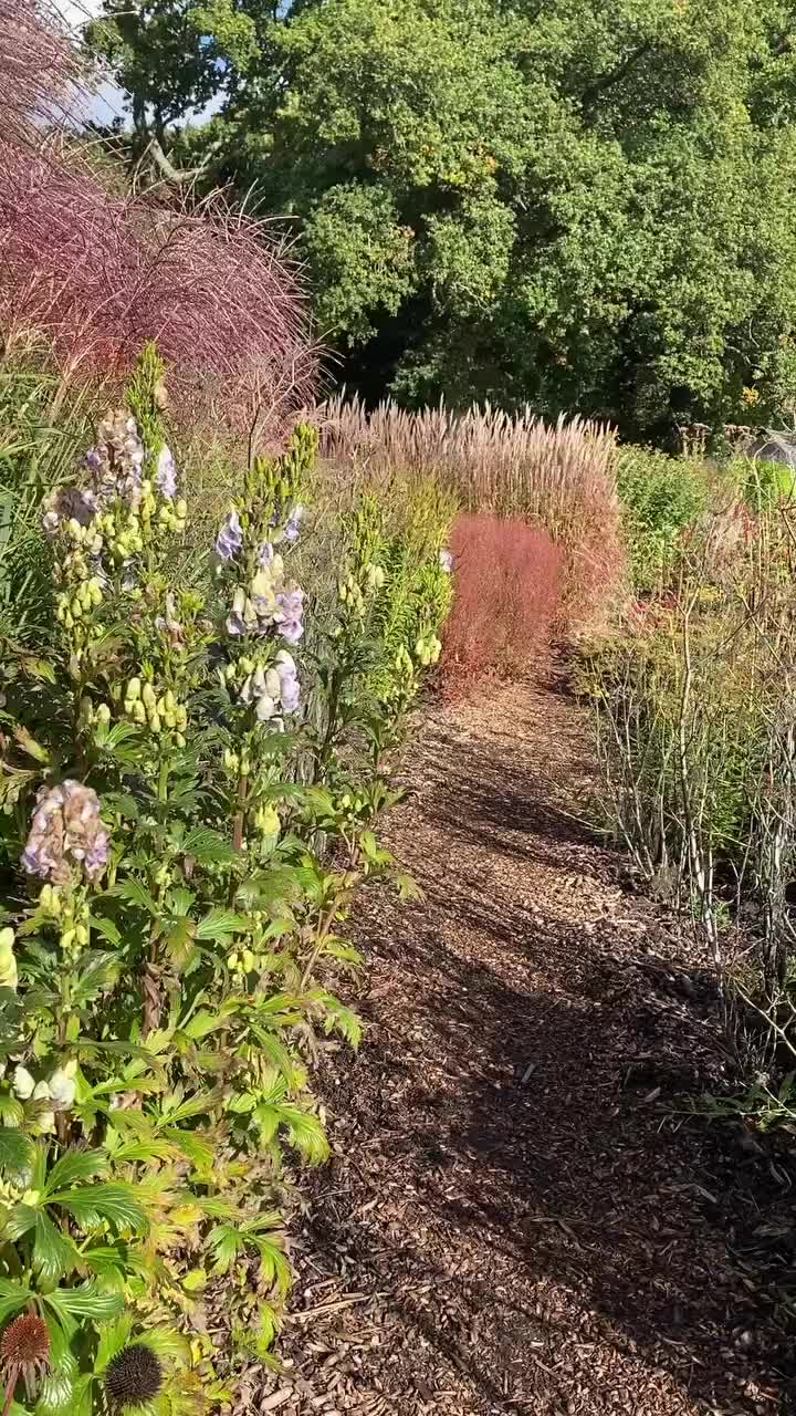 Video post from sussexprairies.