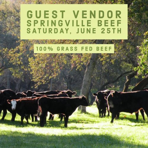Photo post from visaliafarmersmarket.