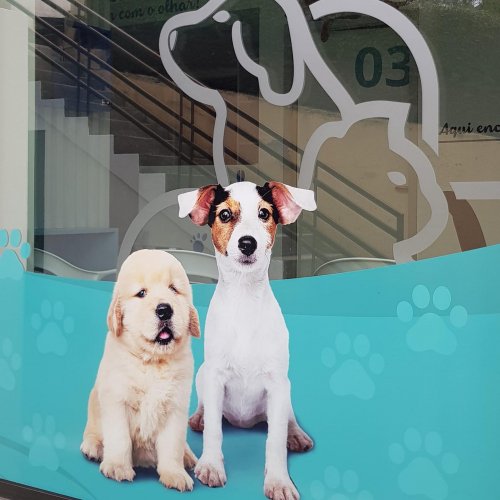 Photo post from clinica_veterinaria_dourosul.